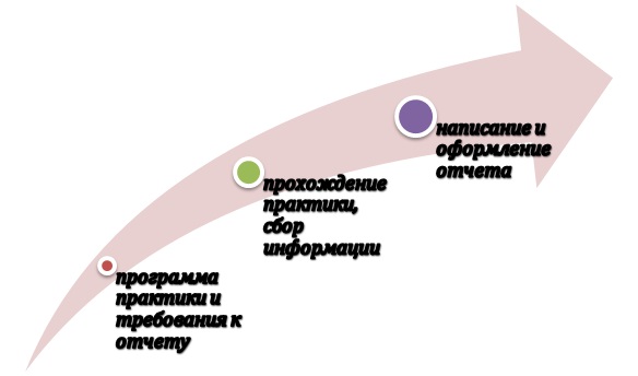 Схема подготовки введения к отчету по практике