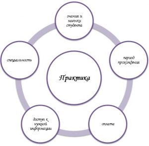 Где пройти практику студенту экологу