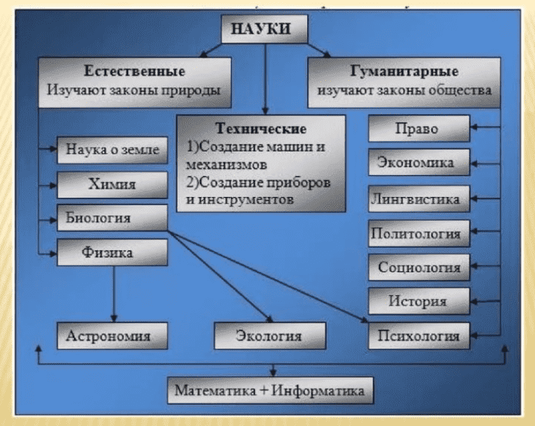 Какие бывают науки. Ественноначные предметы. Естественнинаучные предметы.. Естественно-научные предметы в школе список. Классификация естественных наук.