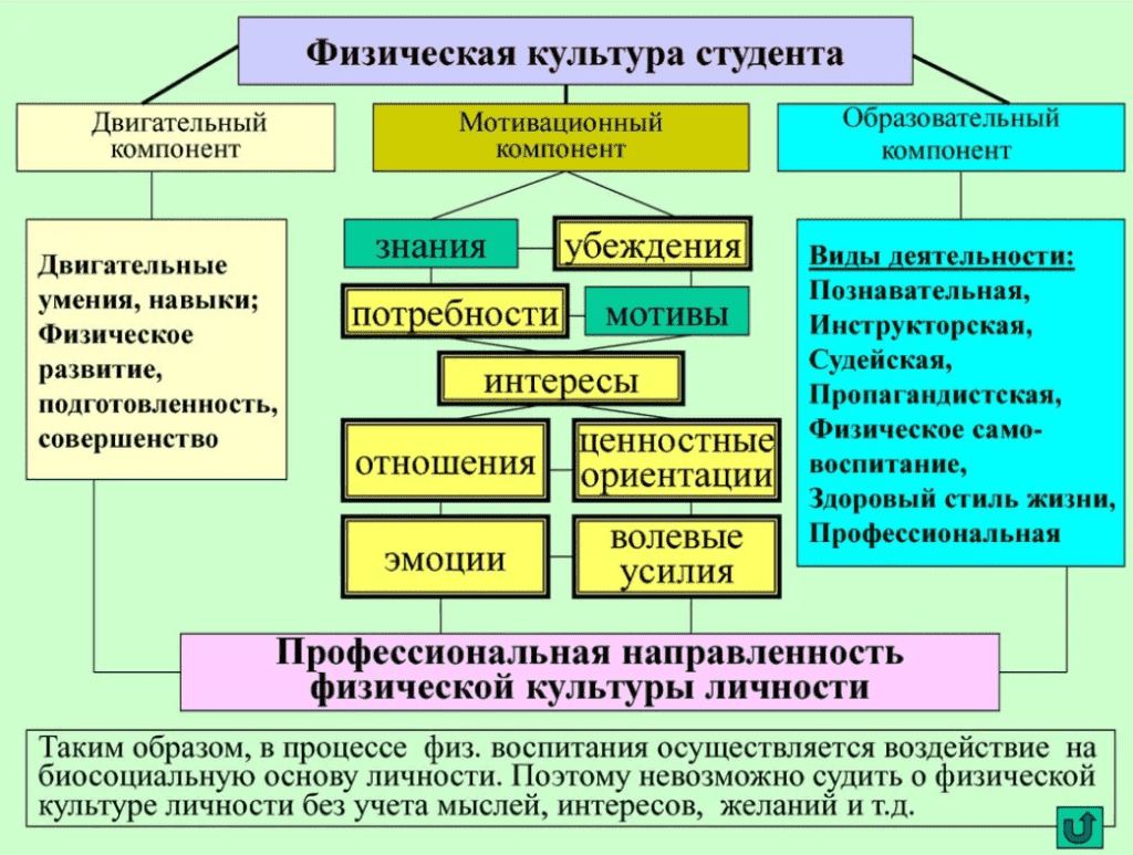 Основы формирования личности физическая культура