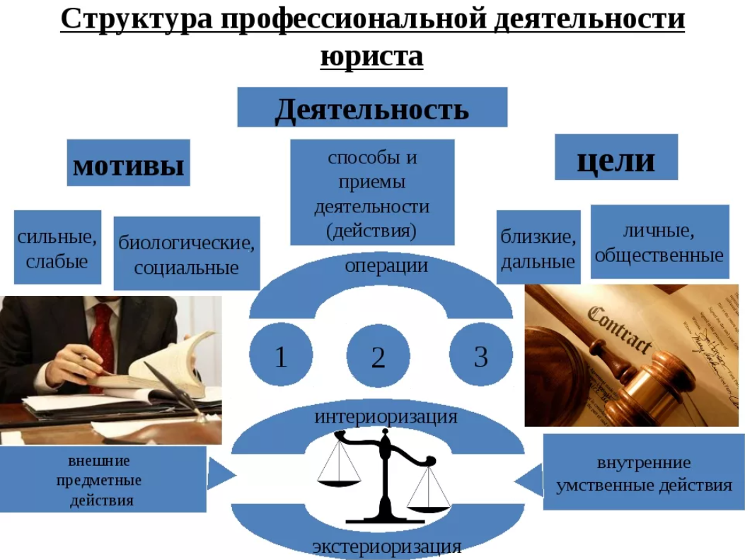 Структура профессиональной деятельности юриста