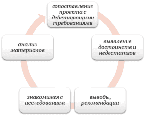 Роль в проекте научного руководителя