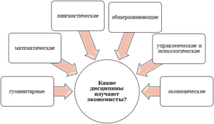 Учебная дисциплина проекта