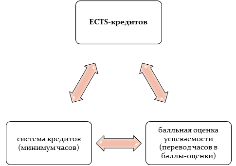 Основные составные элементы ECTS-кредита