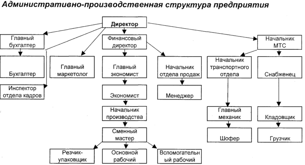 Структура предприятия образец схема word