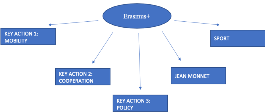 Образовательная программа Erasmus