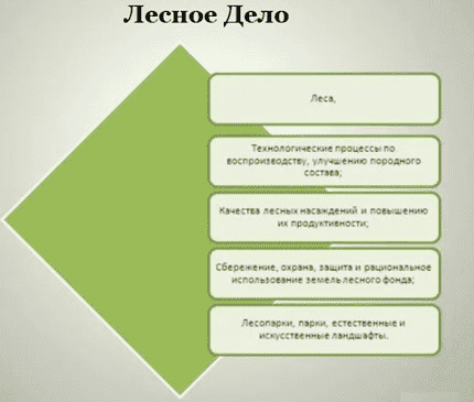 Чем занимаются выпускники по профилю "Лесное дело"?