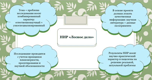 Основные характеристики НИР по программе "Лесное дело"