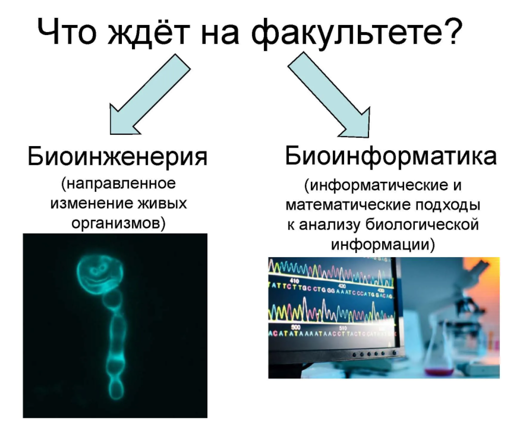 биоинженер где учиться в россии