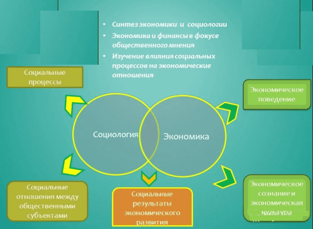 Социология и экономика взаимосвязь. Экономическая социология. Экономическая социология и экономика. Связь социологии с экономикой.