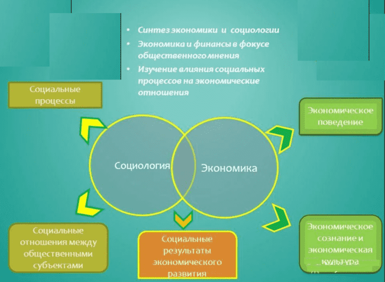 Социальных экономических внутренних процессов. Социология и экономика взаимосвязь. Экономическая социология. Экономическая социология и экономика. Связь социологии с экономикой.