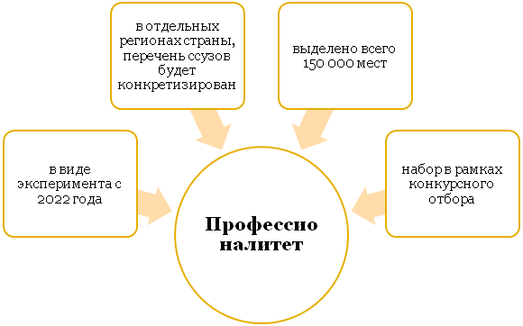Условия внедрения и действия профессионалитета в России