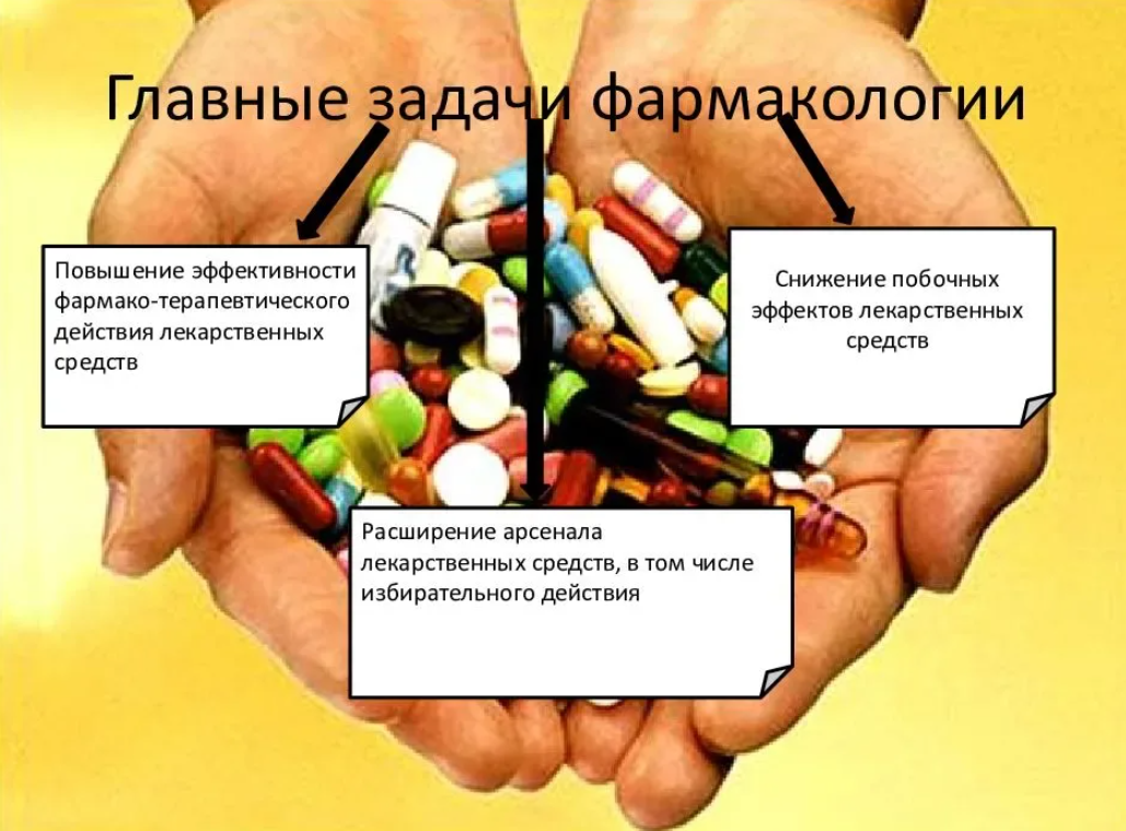 Сущность фармакологии: основные направления деятельности