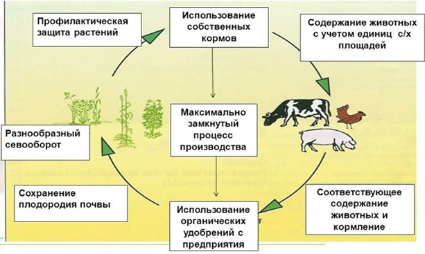 Чем занимается сельскохозяйственный эколог?