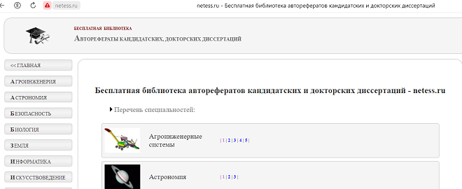Интерфейс сайта Netess.ru
