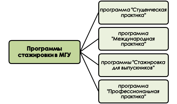 Классификация программ стажировок при МГУ