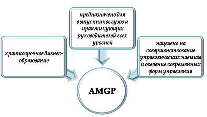 Специфика ускоренной программы общего менеджмента AMGP