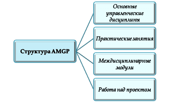 Состав ускоренной программы общего менеджмента AMGP