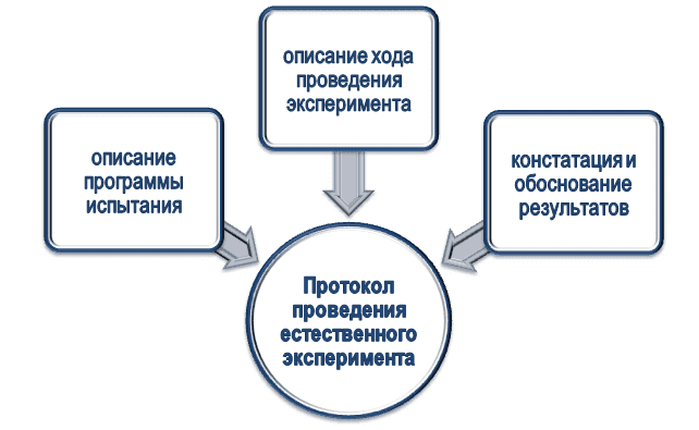 Содержание протокола естественного эксперимента