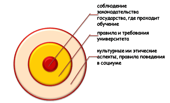 Основные обязанности иностранного студента