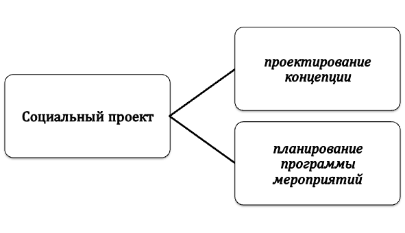 Организация процесса выполнения социального проекта