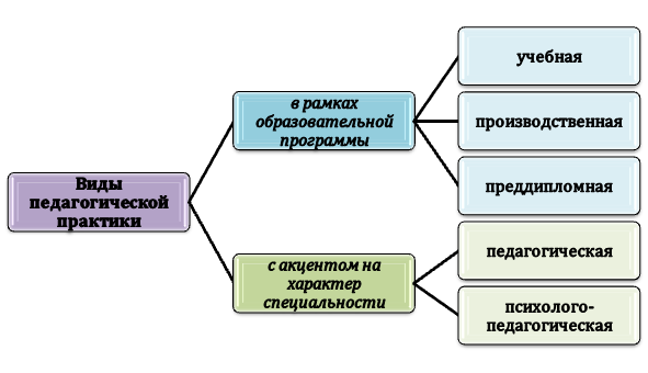 Классификация отчета по педагогической практике