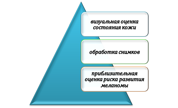 Суть студенческого проекта по онкодиагностике