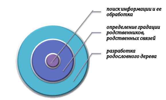 Этапы подготовки генеалогического древа