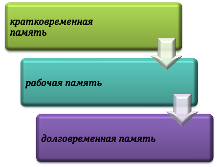 Процесс запоминания информации