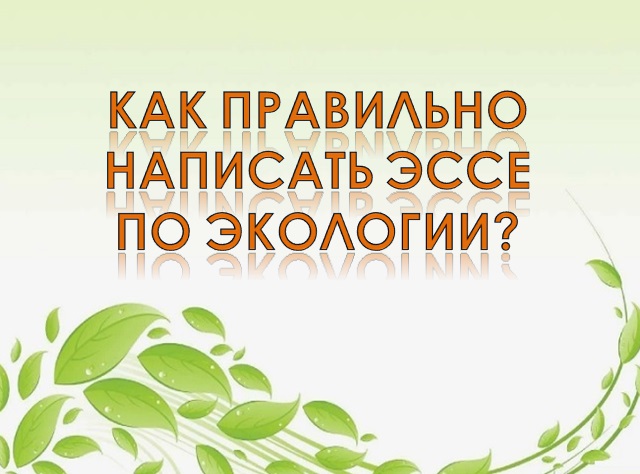 Как правильно написать эссе по экологии?