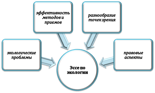 О чем писать в эссе по экологии?