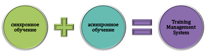 Основа Training Management System