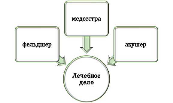 Кем работают выпускники медколледжа по программе "Лечебное дело"?