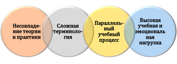 Особенности обучения по лечебному делу в колледже