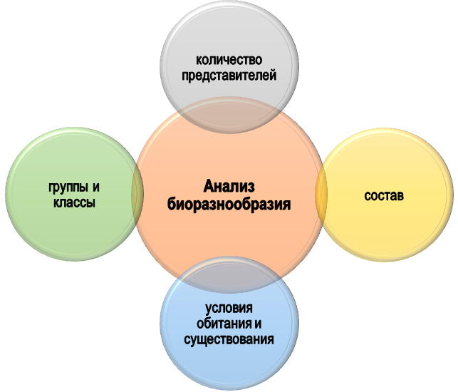 Элементы анализа биоразнообразия