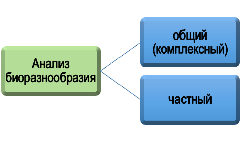 Каким бывает анализ биоразнообразия?