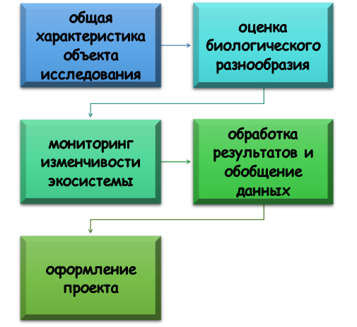 Этапы анализа экосистемы