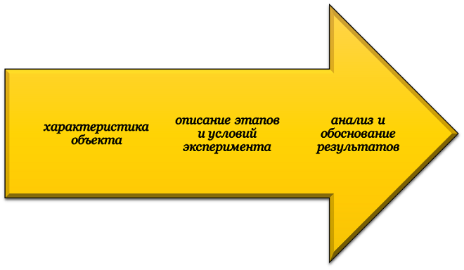 Состав экспериментальной части проекта