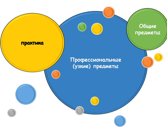 соотношение теории и практики в программе вуза Как устроена образовательная программа?