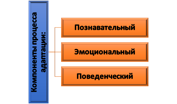 Проявление тревожности Базовые компоненты процесса адаптации