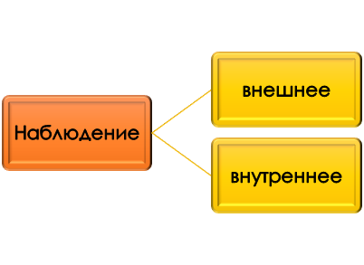Виды наблюдения в педагогике