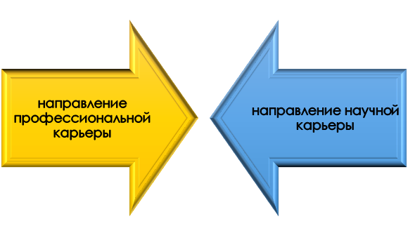 Выбор идентичного направления для профессиональной и научной карьеры