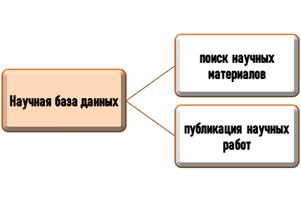Варианты работы в научной базе данных