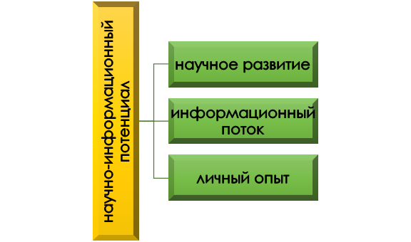 Из чего складывается научно-информационный потенциал?
