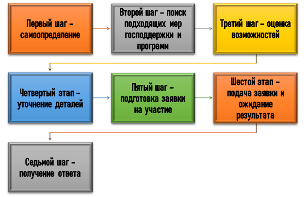 Этапы конкурсной поддержки молодых ученых