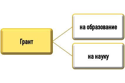 Цель предоставления гранта