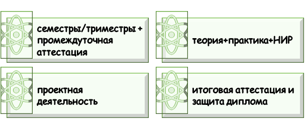 Организация учебного процесса в ИГА