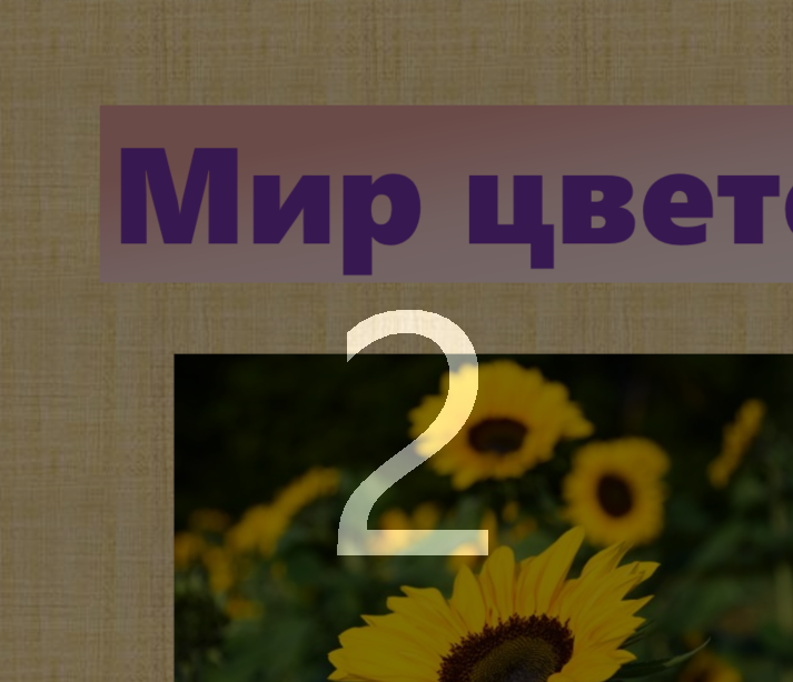 Отсчет для старта записи