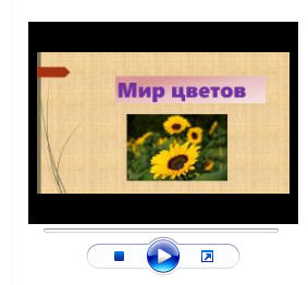 Готовый к просмотру файл