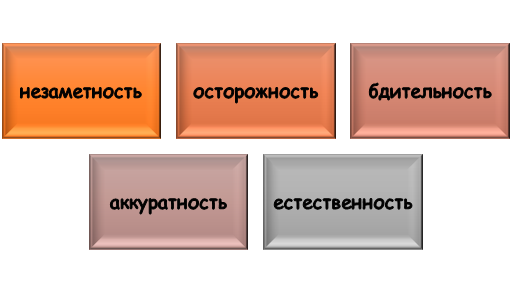 Принципы использования шпаргалки